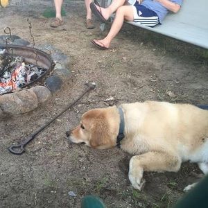 Meet your Posher, Scott